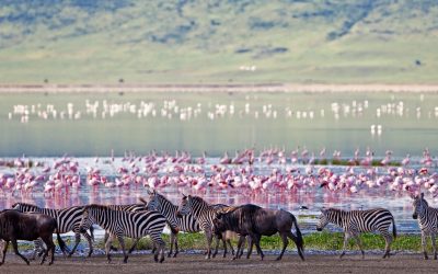 Tourism in Tanzania accounts for 1.3 percent of GDP