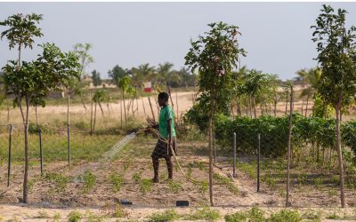 Ghana’s AWM project will receive €44.7 million from the EU and the FDA