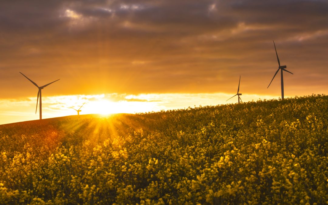 BII and Norfund invest ZAR 600 million in renewable energy development SA