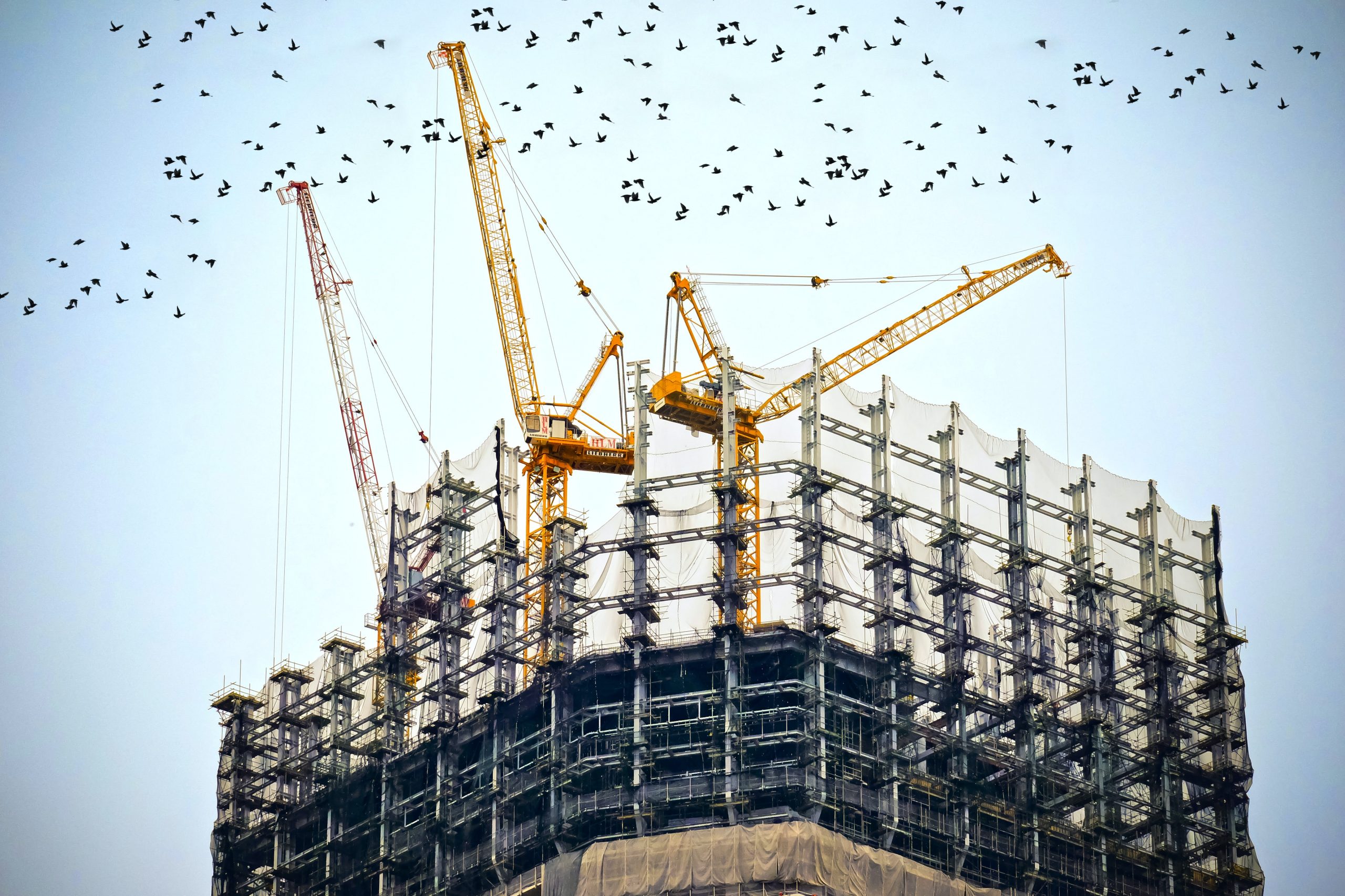 Construction in progress