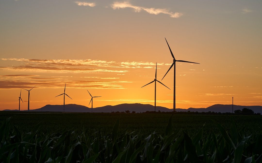 Harnessing the Tanzania Renewable Energy Potential: Industry Overview and Leading Projects