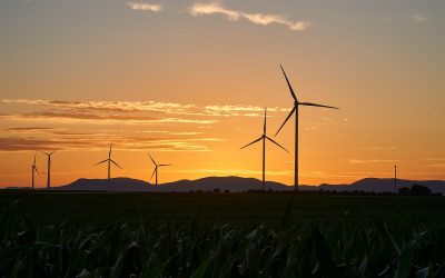 Harnessing the Tanzania Renewable Energy Potential: Industry Overview and Leading Projects